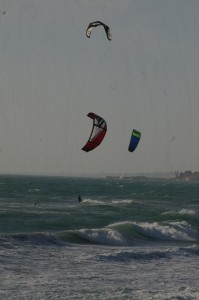 IMGP2657 (2)